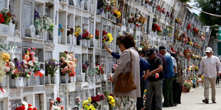 Reencuentro y devoción destacaron en la celebración del Día de Todos los Santos en Curicó.