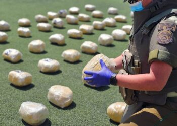 Detienen en Calama a una banda extranjera que poseía armamento y 371 kilos de narcóticos.