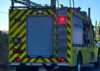 Accidente de alto impacto entre un vehículo y un árbol en Villarrica provoca la muerte de una persona.