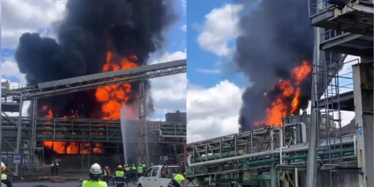 Incendio de gran escala impacta a reconocida empresa al norte de Cabrero.