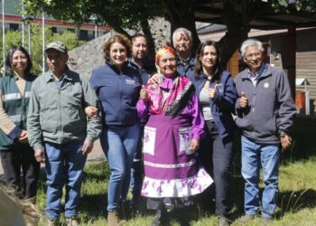 Alto Biobío obtiene un destacado reconocimiento internacional.