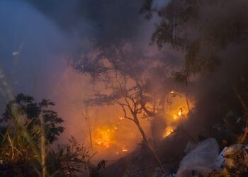 Se declara Alerta Temprana Preventiva en el Biobío debido al elevado riesgo de incendios forestales.