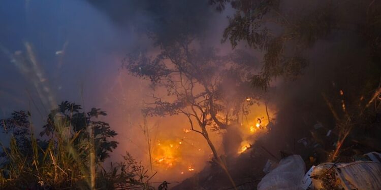 Se declara Alerta Temprana Preventiva en el Biobío debido al elevado riesgo de incendios forestales.