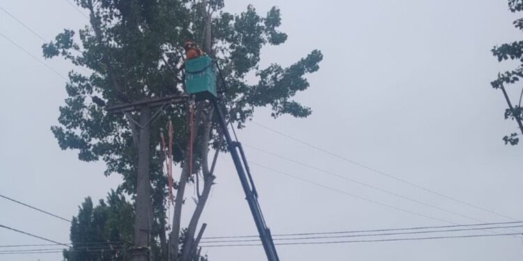 Este jueves habrá cortes de luz en tres zonas de Los Ángeles.