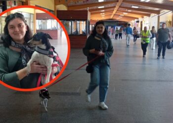 Electora acude a votar con su perrita en Los Ángeles y anima a otros a participar si sus mascotas se portan bien.