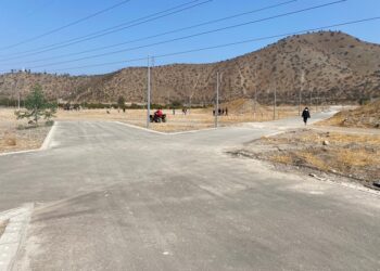 San Bernardo disminuyó a la mitad sus áreas verdes, según estudio de Corporación Ciudades.