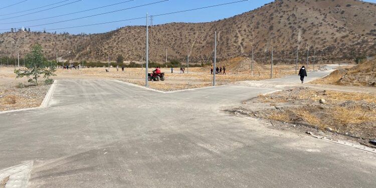 San Bernardo disminuyó a la mitad sus áreas verdes, según estudio de Corporación Ciudades.