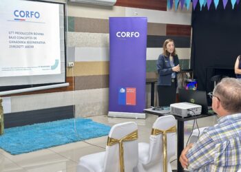 Ganadería regenerativa: Corfo lanza programa para potenciar la competitividad del sector bovino en el Maule.