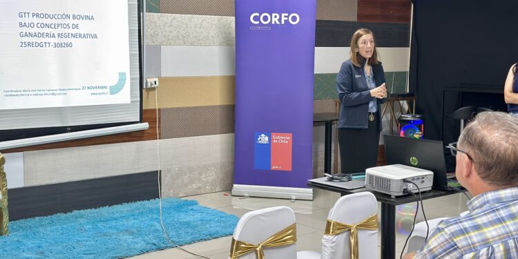 Ganadería regenerativa: Corfo lanza programa para potenciar la competitividad del sector bovino en el Maule.