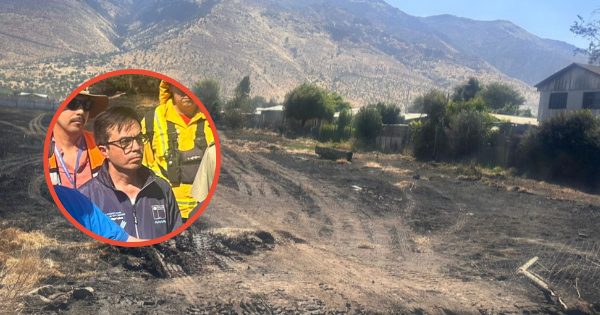 Incendio en Tiltil arrasa con diez hectáreas y pide reforzar las medidas de prevención.