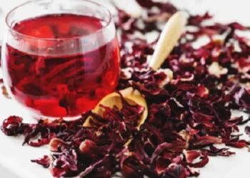 El secreto natural para mantenerte hidratado.