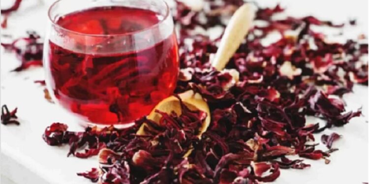 El secreto natural para mantenerte hidratado.