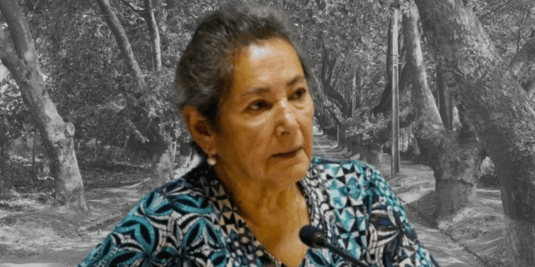 Caso concejala de Villa Alegre: los préstamos de la autoridad a empleados municipales generan una nueva línea de investigación.