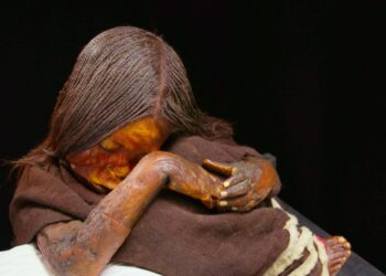 Conciertos navideños, mural urbano y estreno de documental destacan el cierre cultural de 2025.