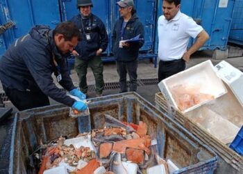Llevan a cabo un gran operativo en el Terminal Pesquero por el robo de salmones.