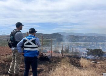 Incendio en Limache con Alerta Roja afecta a tres viviendas, obliga a evacuar a 35 personas y arrasa más de 30 hectáreas de vegetación.