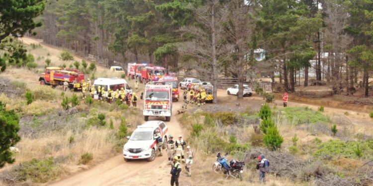 Bomberos del Gran Valparaíso llevaron a cabo un simulacro para mejorar su coordinación en la respuesta a incendios forestales.