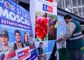 Minagri y el SAG inician campaña para prevenir la mosca de la fruta en Quinta Normal.