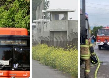 Resumen semanal de noticias en Chicureo al día