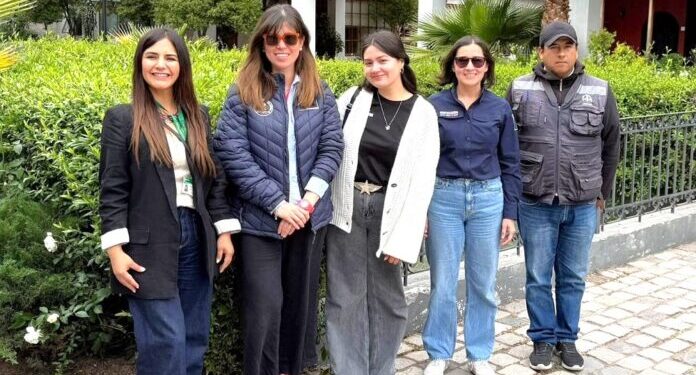 Refuerzan la fiscalización de alojamientos turísticos en la comuna.