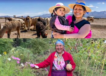 Chile suma dos nuevos Sitios SIPAM reconocidos por la FAO