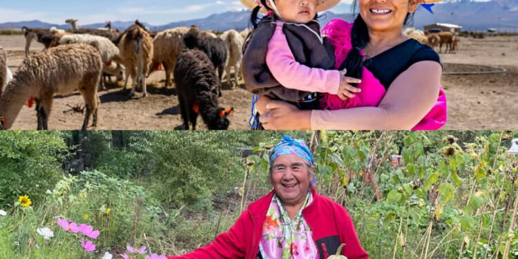 Chile suma dos nuevos Sitios SIPAM reconocidos por la FAO