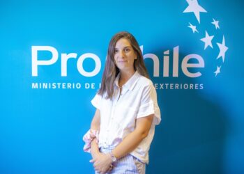 Exportaciones de O’Higgins alcanzan los US$4.313 millones.