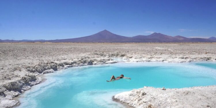 Consejo de Ministros resguarda 10 salares y lagunas en la región de Atacama, prohibiendo la explotación de litio.