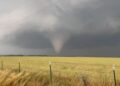 Al menos cinco personas fallecieron y 400 resultaron heridas debido a un tornado en el estado brasileño de Paraná.