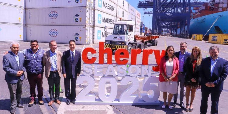 Chile arranca la temporada de cerezas con un récord de envíos directos a Asia.