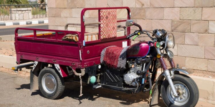 ANIM dice que no a los “toritos” para llevar gente por peligro en las calles.