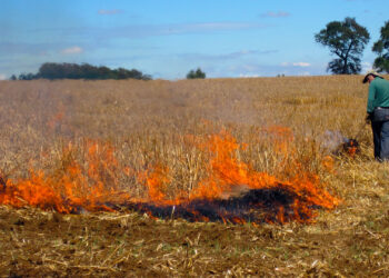 Arrestan y formalizan cargos contra el acusado de quema ilegal de pastizales.