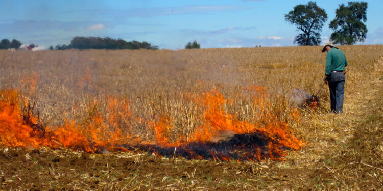 Arrestan y formalizan cargos contra el acusado de quema ilegal de pastizales.