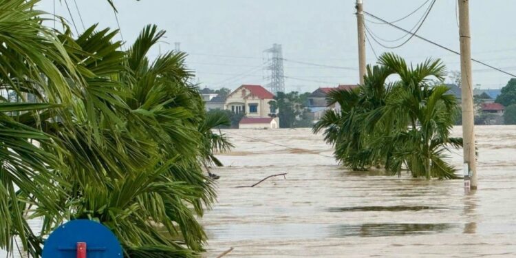 Se actualiza la cifra a 90 fallecidos y 12 desaparecidos a causa de las lluvias en Vietnam.