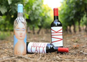 Viña en O’Higgins es reconocida como la «mejor viña del mundo» en The World’s 50 Best Vineyards 2025.