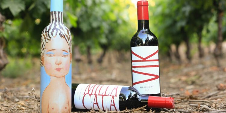 Viña en O’Higgins es reconocida como la «mejor viña del mundo» en The World’s 50 Best Vineyards 2025.