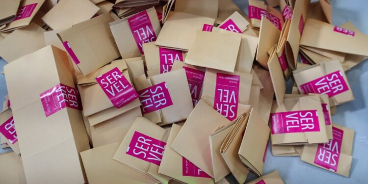 Composición del Congreso, votos nulos y participación: Elementos clave de las elecciones.