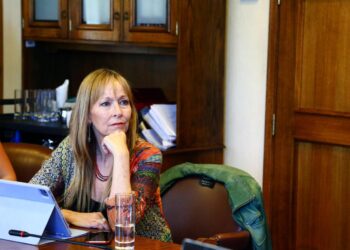 Diputada Ana María Gazmuri pide que se realice una fiscalización por posibles daños al medio ambiente en el Cajón del Maipo.