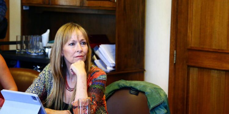 Diputada Ana María Gazmuri pide que se realice una fiscalización por posibles daños al medio ambiente en el Cajón del Maipo.