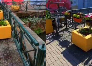 Descontento por el robo de plantas en un destacado paseo peatonal del centro de Los Ángeles.