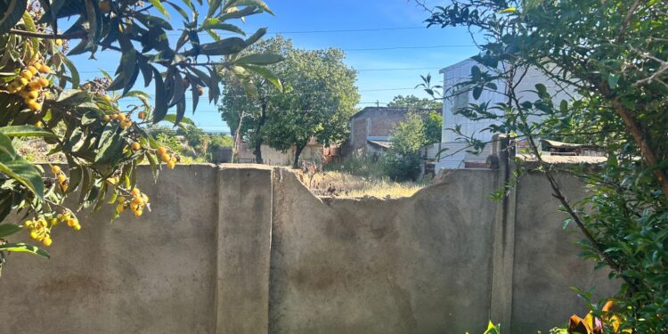 Reiterados robos afectan la sede de la Fundación Las Rosas en Linares.