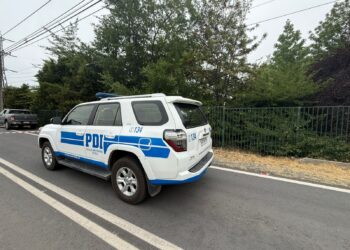 Encuentran a un ciudadano argentino con una herida de bala en la Ruta 5 Sur; fallece en el Hospital de Curicó: detalles del caso.