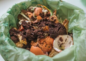 Chile lanza campaña para fomentar el reciclaje de desechos orgánicos.