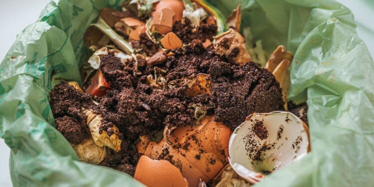 Chile lanza campaña para fomentar el reciclaje de desechos orgánicos.