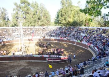 Clasificatorios Escolares de Rodeo comienzan su camino hacia la Final Nacional este fin de semana en San Carlos.