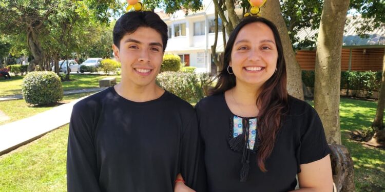 Estudiantes de la USM crean una app con IA que identifica a la abeja reina sin necesidad de abrir la colmena.