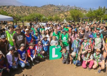 Parque de la Chilenidad incorpora el “Bosque de Bolsillo”