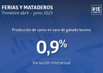 Producción de carne de vacuno sube un 0,9%