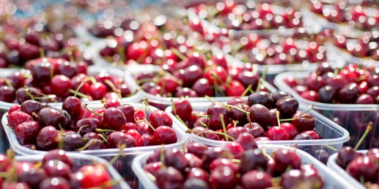 Brasil incinera más de una tonelada de cerezas chilenas debido a la presencia de plagas.
