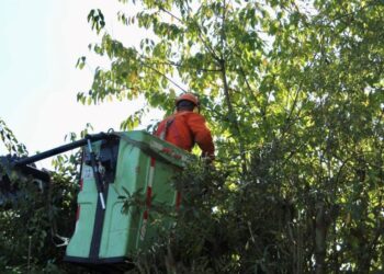 CGE se encuentra con alcaldes para exponer planes de mejora en la calidad del servicio eléctrico – LAVOZDEPUCON